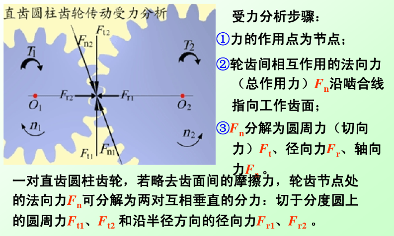直齿圆柱齿轮受力分析